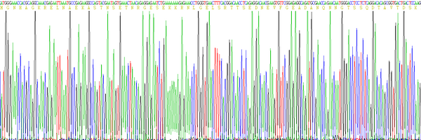 Eukaryotic Myelin Basic Protein (MBP)