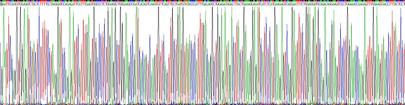 Eukaryotic Vascular Cell Adhesion Molecule 1 (VCAM1)