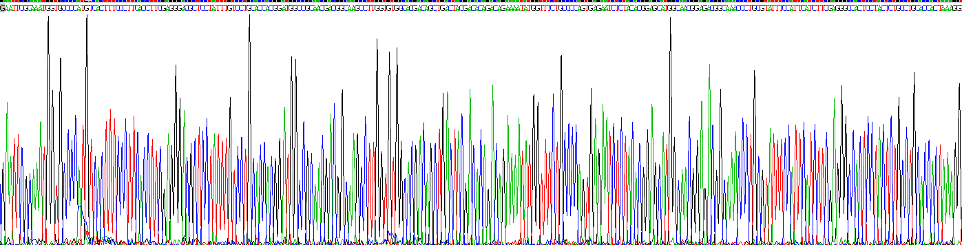 Eukaryotic Matrix Metalloproteinase 9 (MMP9)