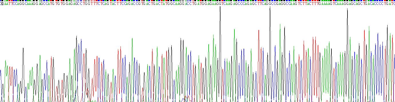 Eukaryotic Apolipoprotein A2 (APOA2)