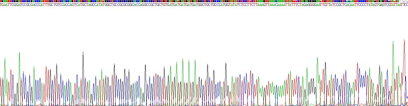 Eukaryotic Cluster Of Differentiation 28 (CD28)