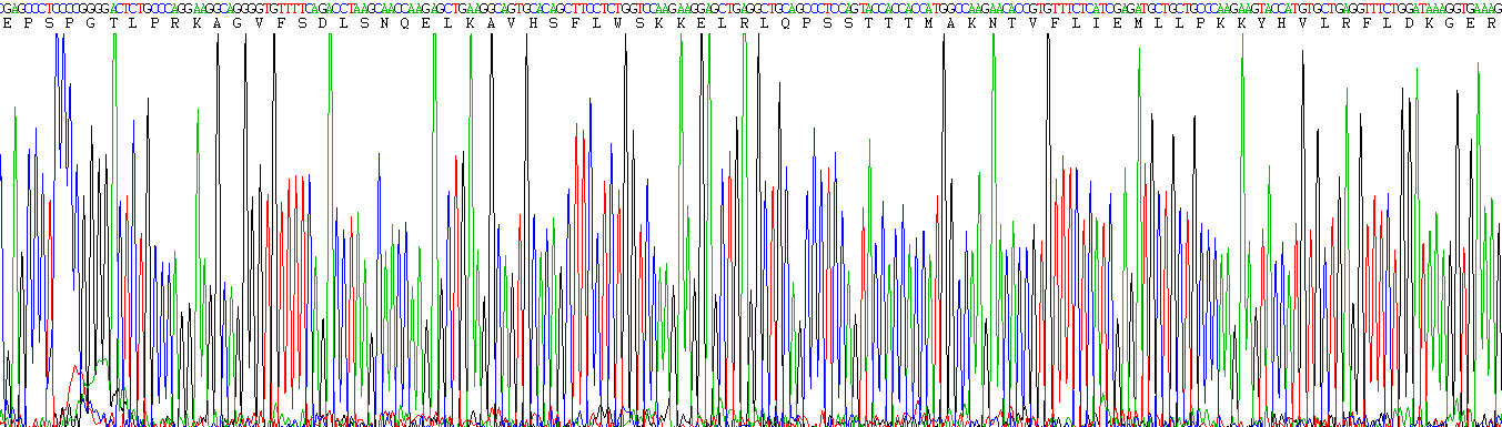 Eukaryotic Amiloride Binding Protein 1 (ABP1)