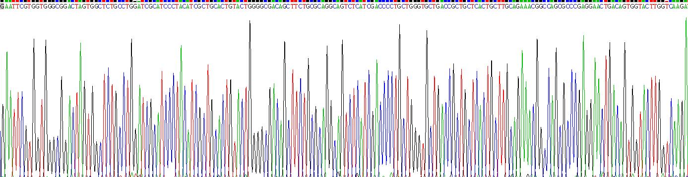 Eukaryotic Coagulation Factor XII (F12)