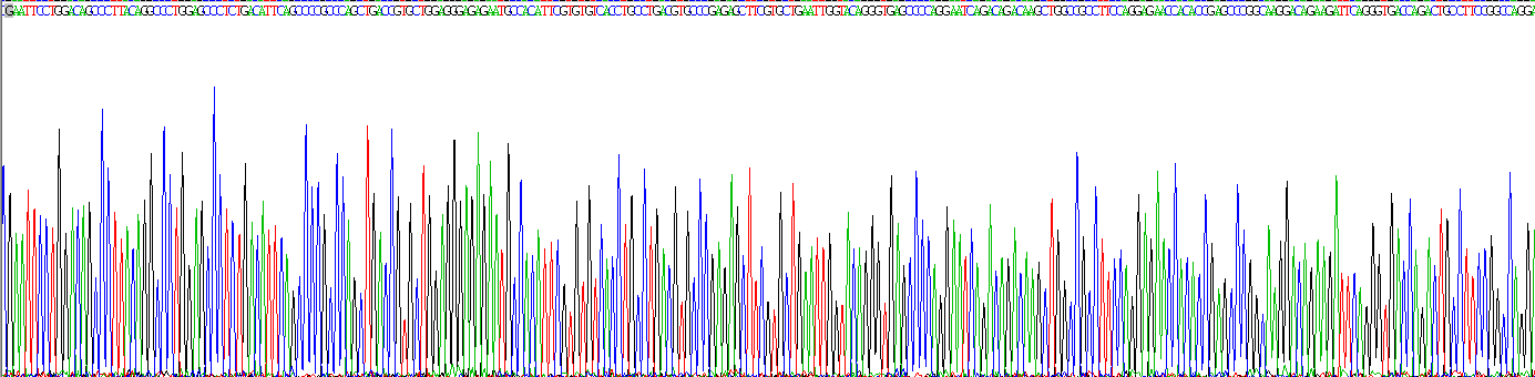 Eukaryotic Programmed Cell Death Protein 1 (PD1)