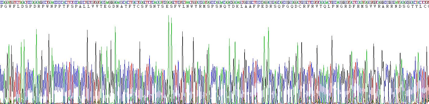 Eukaryotic Programmed Cell Death Protein 1 (PD1)