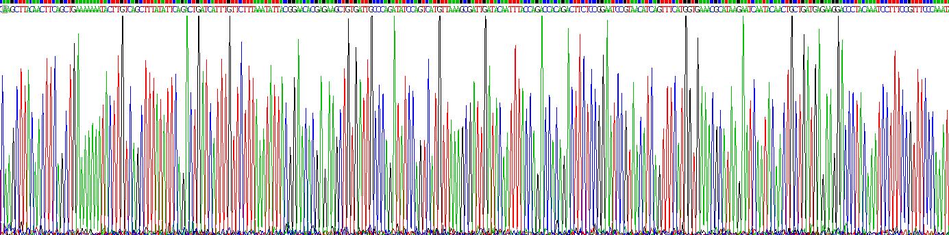 Eukaryotic A Disintegrin And Metalloprotease 10 (ADAM10)