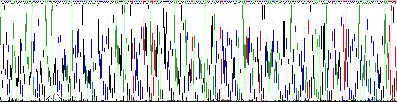 Eukaryotic Kidney Injury Molecule 1 (Kim1)