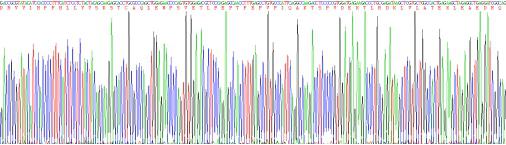 Eukaryotic Angiotensinogen (AGT)