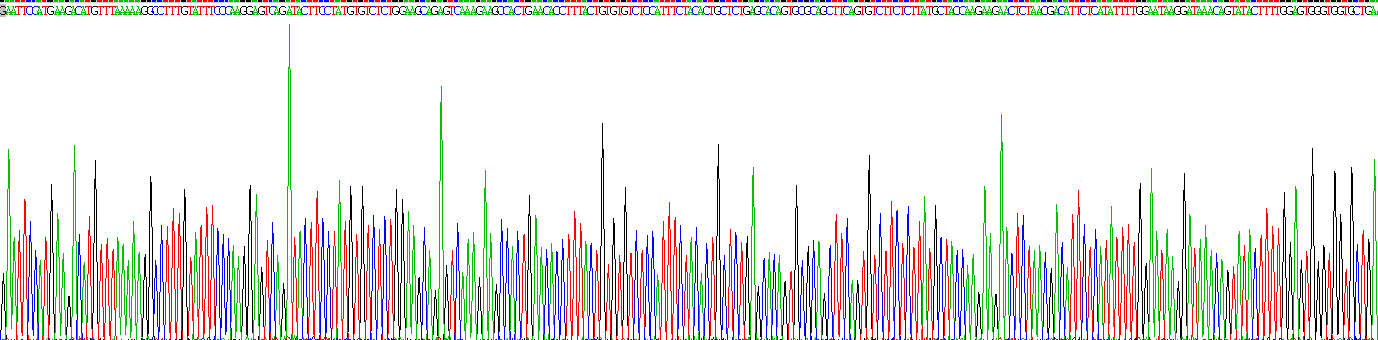 Eukaryotic C Reactive Protein (CRP)