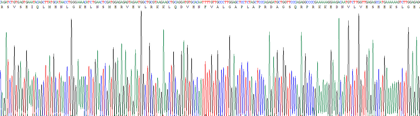 Eukaryotic Parathyroid Hormone (PTH)