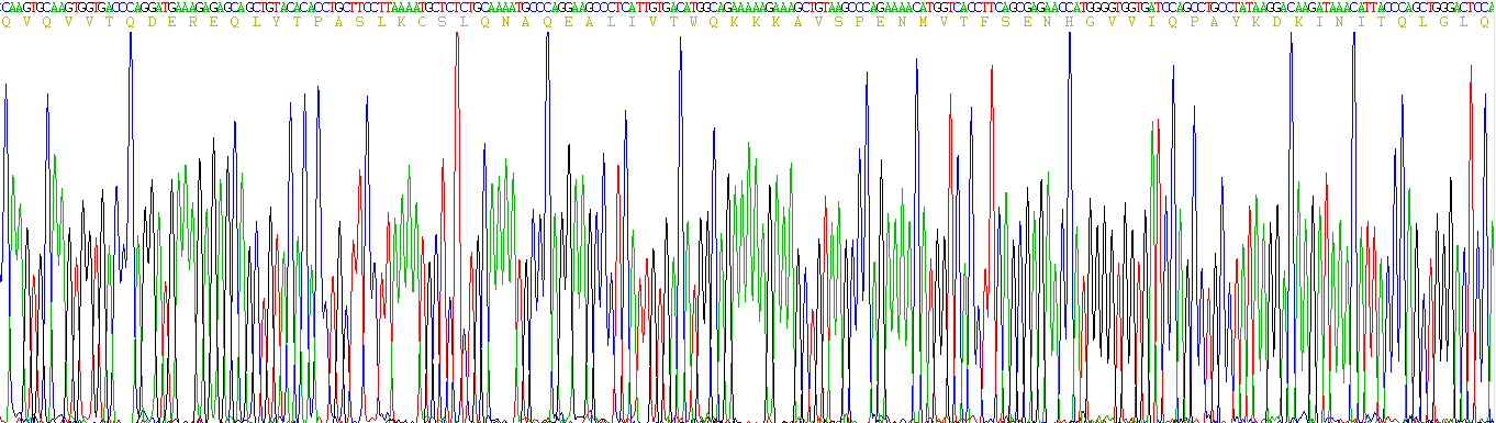 Eukaryotic Cluster Of Differentiation 200 (CD200)