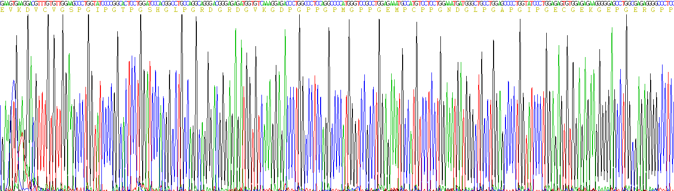 Eukaryotic Pulmonary Surfactant Associated Protein A1 (SFTPA1)