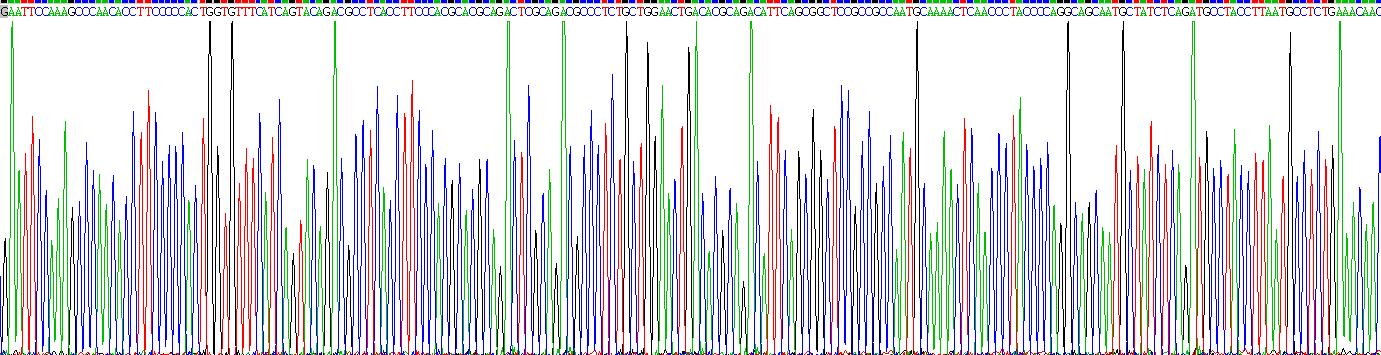 Eukaryotic Protein Tyrosine Phosphatase Receptor Type C (CD45)