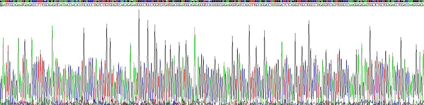 Eukaryotic Surfactant Associated Protein D (SPD)