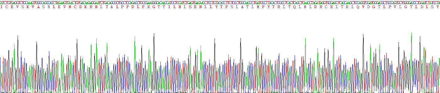 Eukaryotic Cluster Of Differentiation 42b (CD42b)