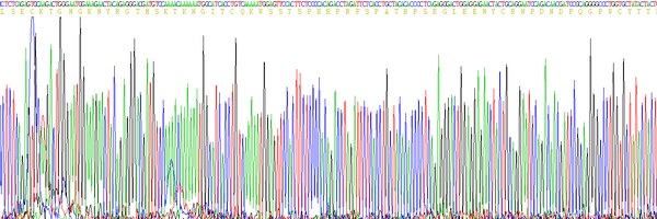 Eukaryotic Plasminogen (Plg)