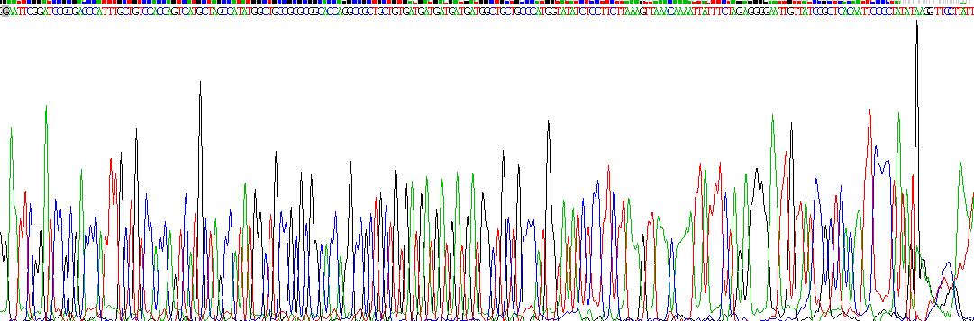 Eukaryotic Fc Fragment Of IgG Low Affinity IIIb Receptor (FcgR3B)