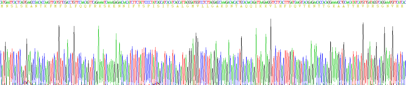 Eukaryotic Serpin B3 (SERPINB3)