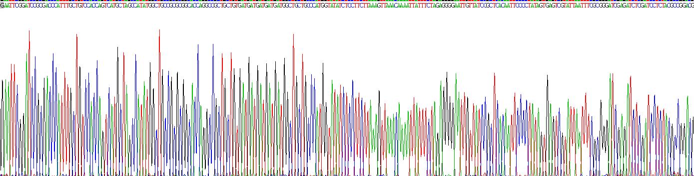 Eukaryotic Granulysin (GNLY)