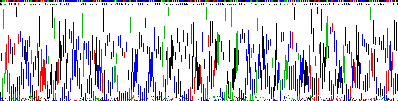 Eukaryotic Glypican 2 (GPC2)