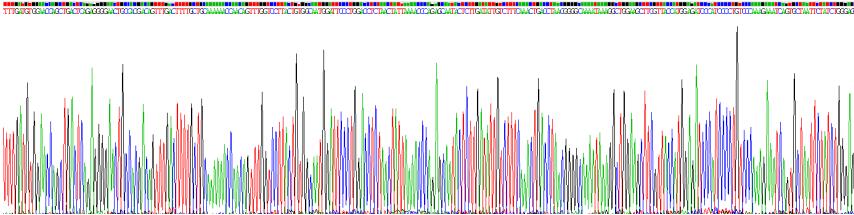 Eukaryotic Complement Component 1, S Subcomponent (C1s)