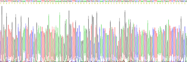 Eukaryotic Fatty Acid Binding Protein 4 (FABP4)