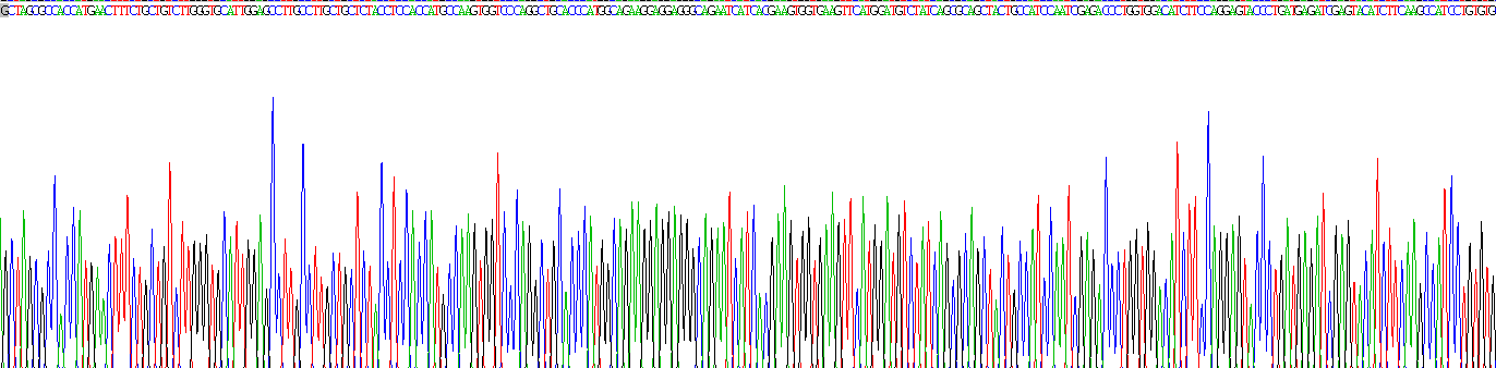 Eukaryotic Vascular Endothelial Growth Factor 165 (VEGF165)