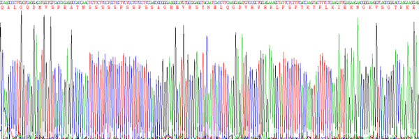 Eukaryotic Fibroblast Growth Factor 10 (FGF10)