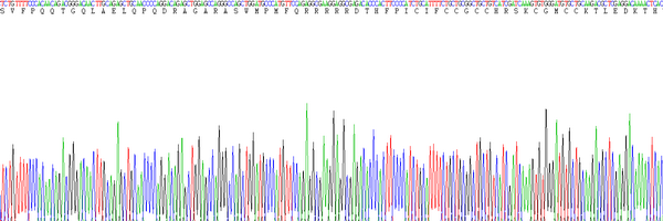 Eukaryotic Hepcidin (Hepc)