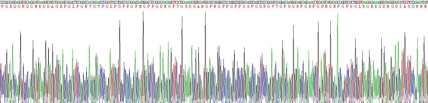 Eukaryotic Collagen Type XII (COL12)