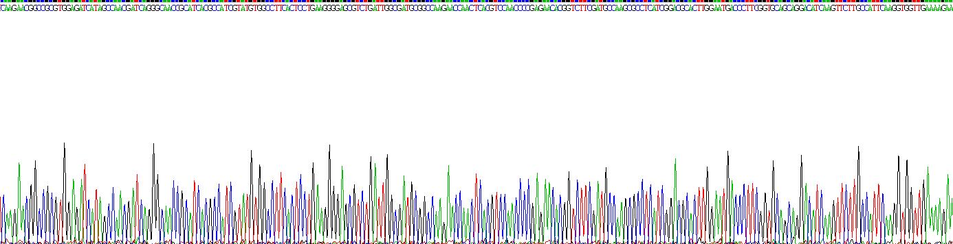 Eukaryotic Heat Shock 70kDa Protein 5 (HSPA5)