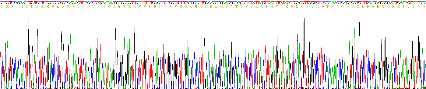 Eukaryotic Histidine Rich Glycoprotein (HRG)