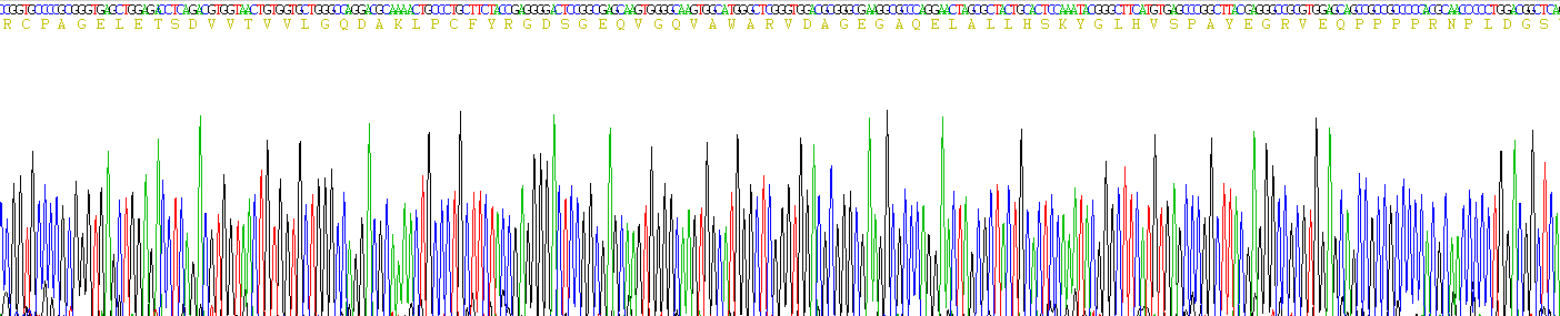 Eukaryotic Poliovirus Receptor Related Protein 4 (PVRL4)