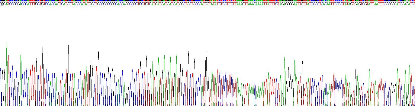 Eukaryotic Leukocyte Cell Derived Chemotaxin 2 (LECT2)