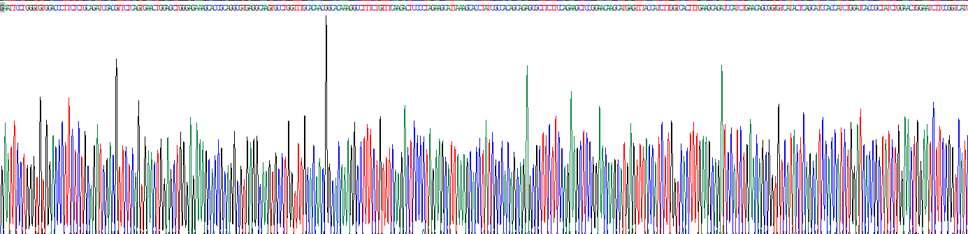 Eukaryotic NEL Like Protein 2 (NELL2)