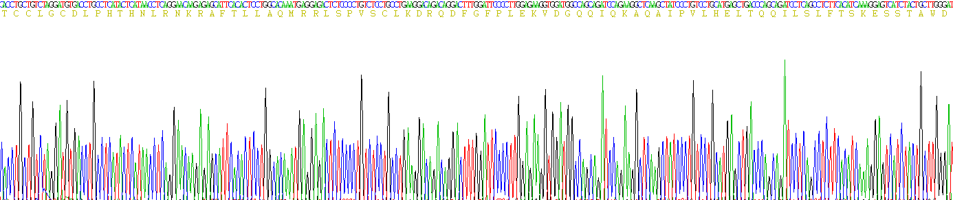 Eukaryotic Interferon Alpha 11 (IFNa11)