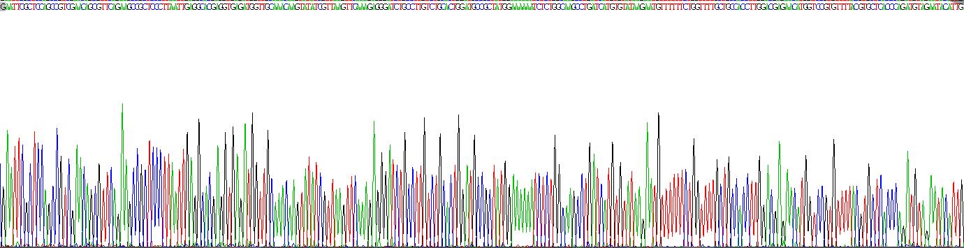 Eukaryotic Proteinase K (PROK)