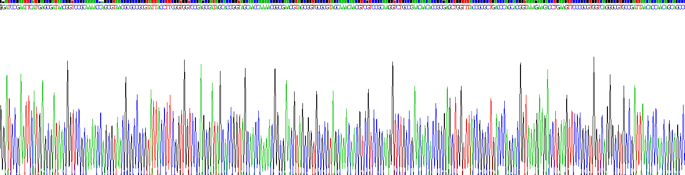 Eukaryotic Nucleoprotein, SARS-CoV (NP)