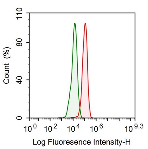 Anti-S100 Calcium Binding Protein (S100) Monoclonal Antibody