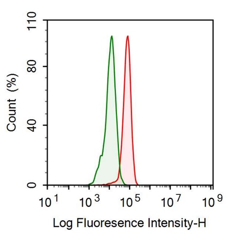 Anti-S100 Calcium Binding Protein (S100) Monoclonal Antibody