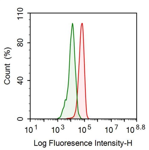 Anti-S100 Calcium Binding Protein (S100) Monoclonal Antibody