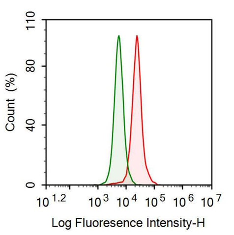 Anti-Fibronectin (FN) Polyclonal Antibody