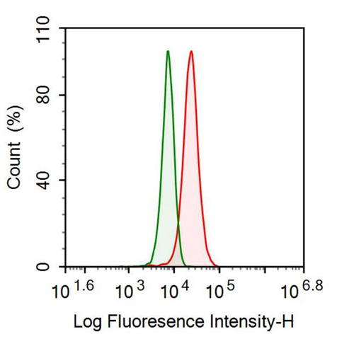 Anti-Fibronectin (FN) Monoclonal Antibody