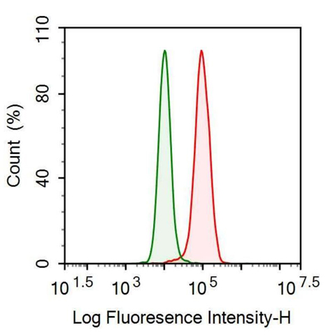 Anti-Insulin Like Growth Factor 1 (IGF1) Monoclonal Antibody