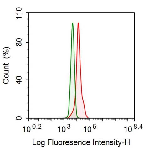 Anti-Insulin Like Growth Factor Binding Protein 1 (IGFBP1) Monoclonal Antibody