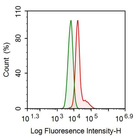 Anti-Insulin Like Growth Factor Binding Protein 4 (IGFBP4) Monoclonal Antibody