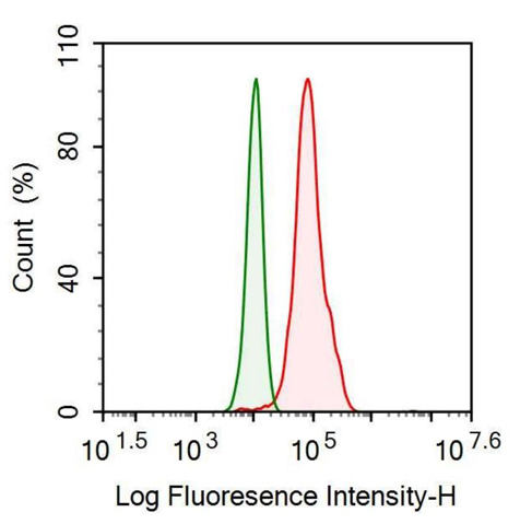 Anti-Interleukin 18 (IL18) Monoclonal Antibody