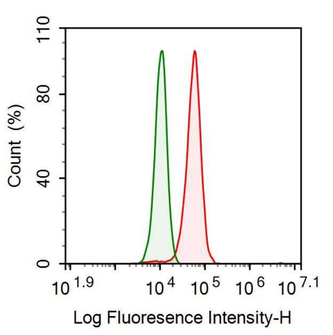 Anti-Interleukin 18 (IL18) Monoclonal Antibody