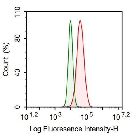 Anti-Interleukin 18 (IL18) Monoclonal Antibody