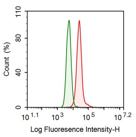 Anti-Interleukin 18 (IL18) Monoclonal Antibody